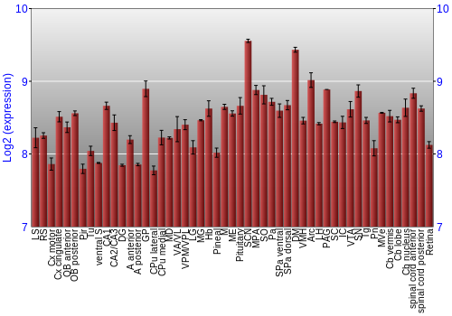 Expression graph