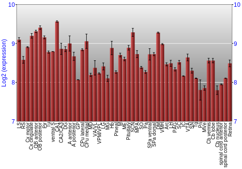 Expression graph