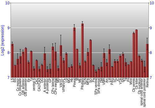 Expression graph