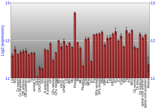 Expression graph