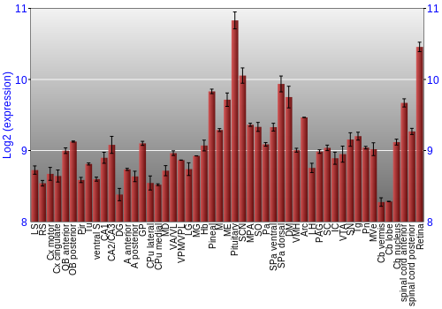 Expression graph