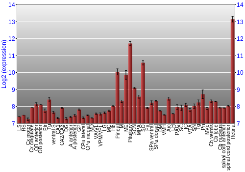 Expression graph