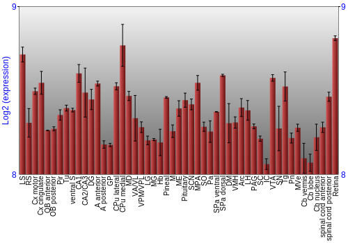 Expression graph
