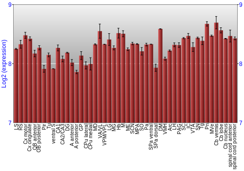 Multi-state expression graph