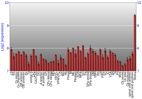 Expression graph