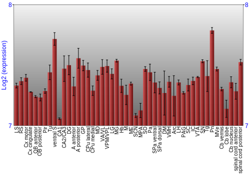 Multi-state expression graph