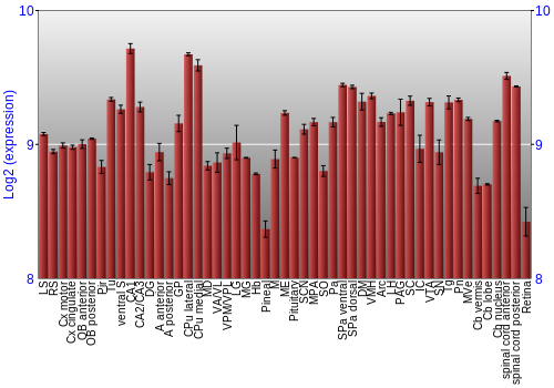 Expression graph