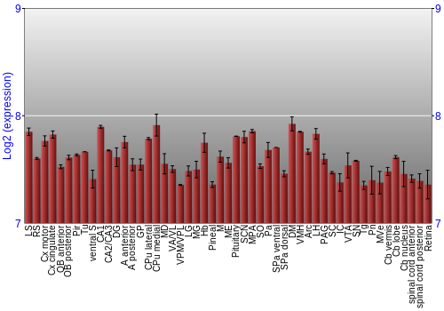 Expression graph