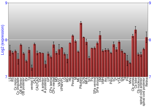 Expression graph