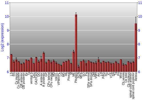 Expression graph