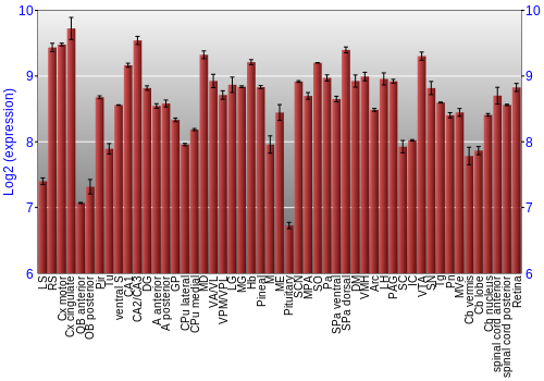 Expression graph