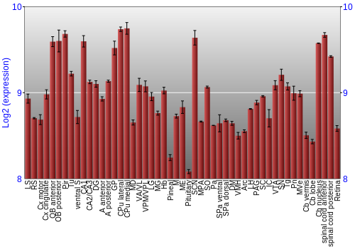 Expression graph