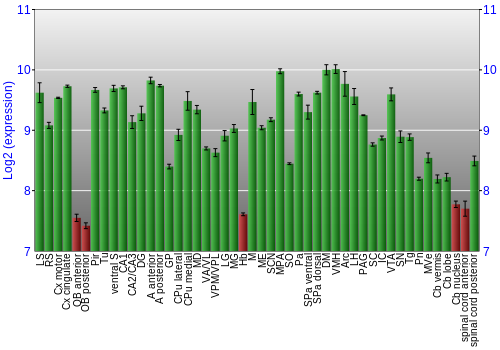 Multi-state expression graph
