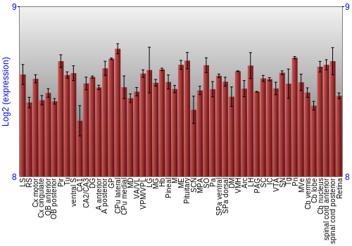 Expression graph