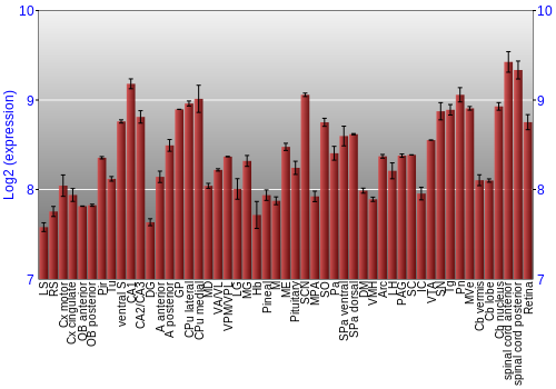 Expression graph