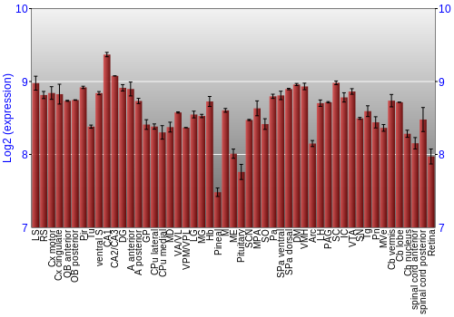 Expression graph