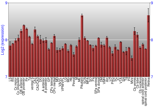 Expression graph