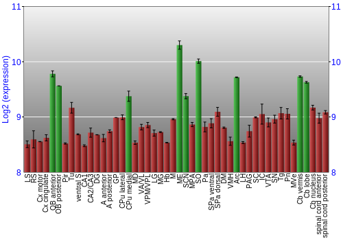 Multi-state expression graph