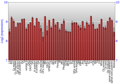 Expression graph