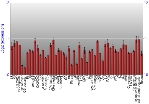 Expression graph