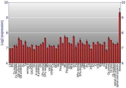 Expression graph