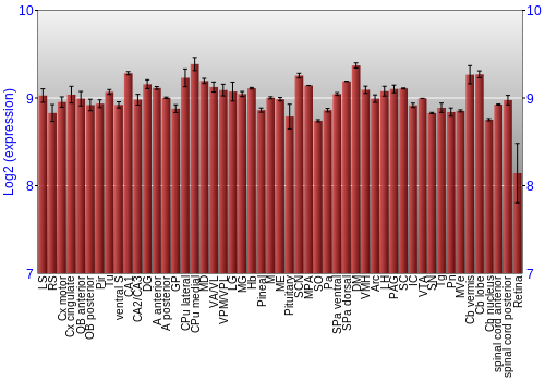 Expression graph