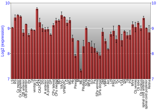 Expression graph